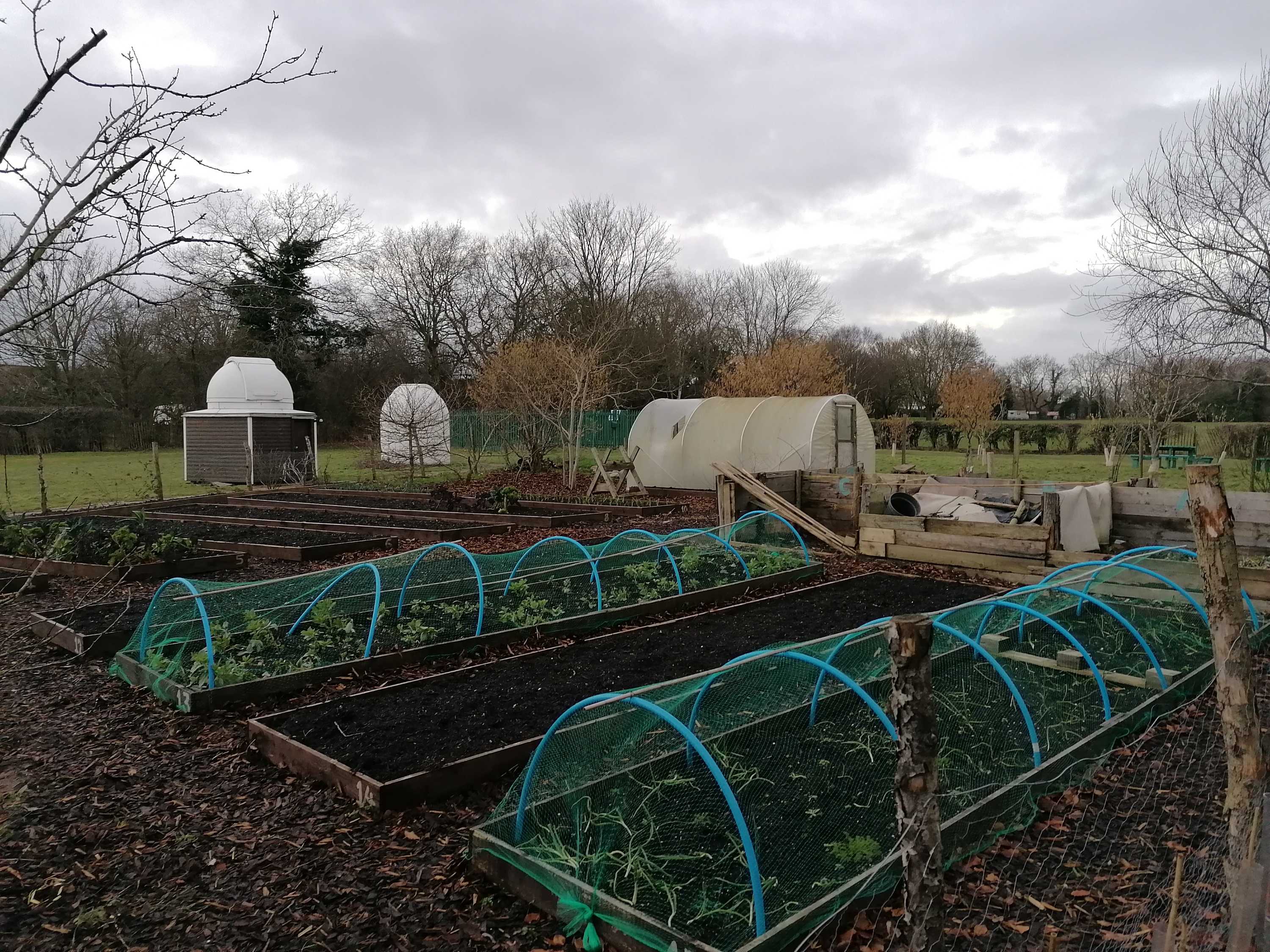 Kent Community Garden