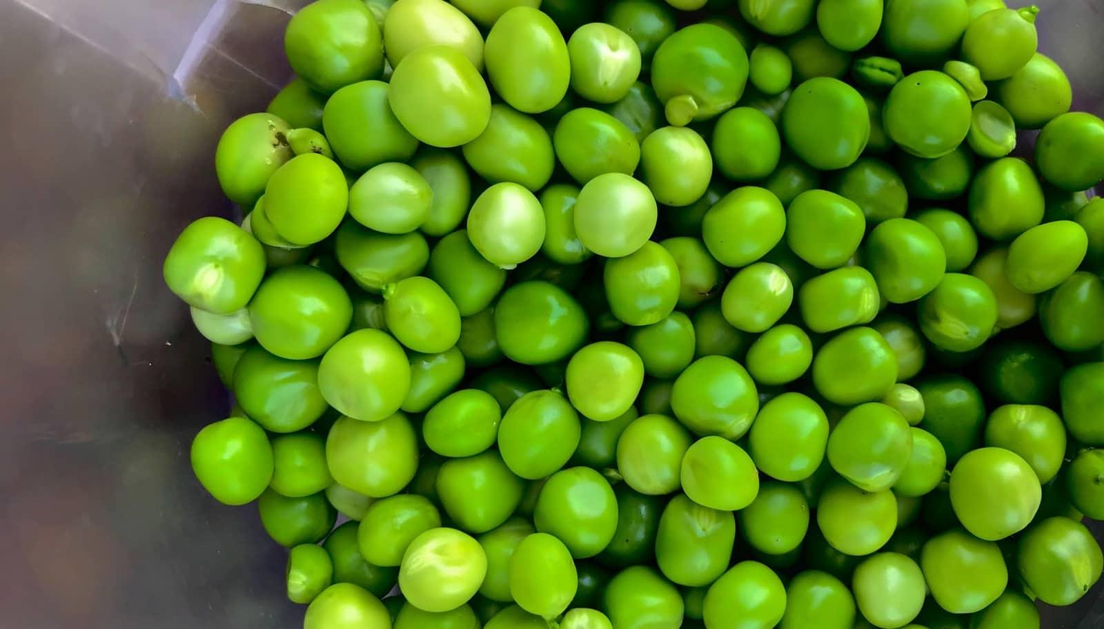 Peas please - bowl of peas